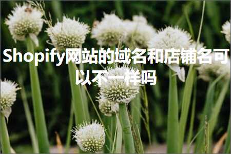 跨境电商知识:Shopify网站的域名和店铺名可以不一样吗+